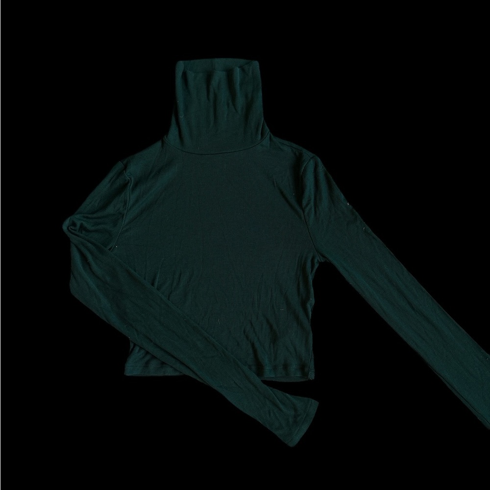 Sunday Best (Aritzia) Evergreen Turtleneck